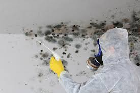 Mold Remediation for Rental Properties in Worth, IL